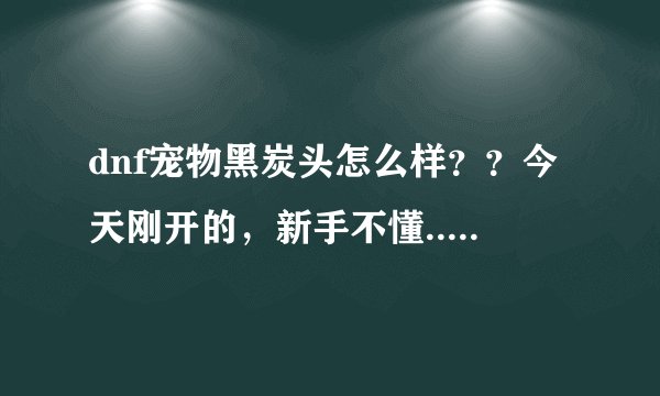 dnf宠物黑炭头怎么样？？今天刚开的，新手不懂...........