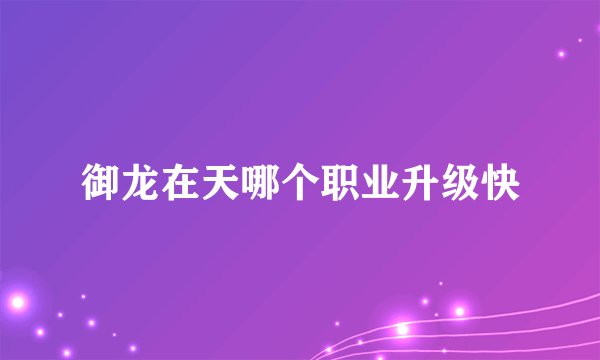 御龙在天哪个职业升级快