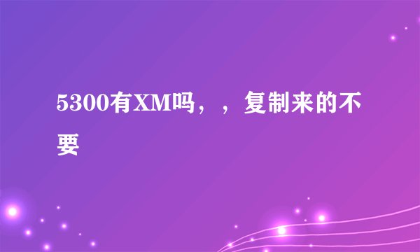 5300有XM吗，，复制来的不要
