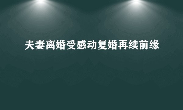 夫妻离婚受感动复婚再续前缘