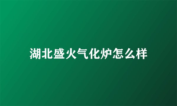 湖北盛火气化炉怎么样