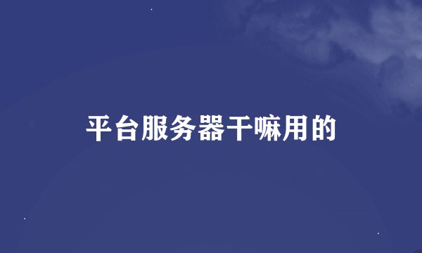 平台服务器干嘛用的