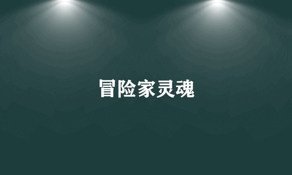 冒险家灵魂