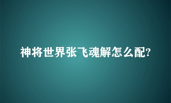 神将世界张飞魂解怎么配?