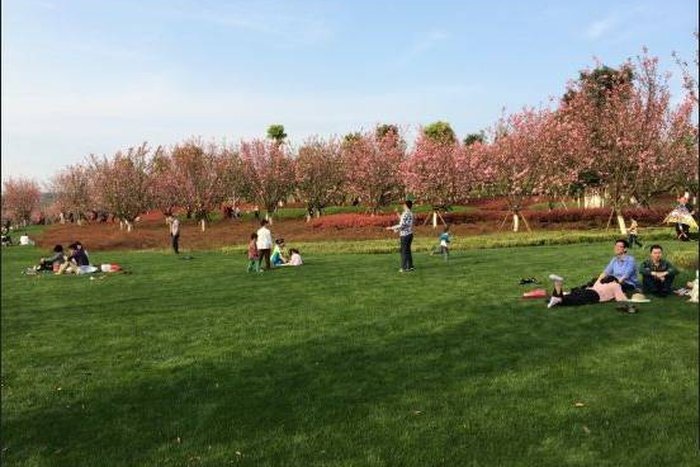 南京遇害女大学生一案,被退回补充侦查,对受害人是否不利?