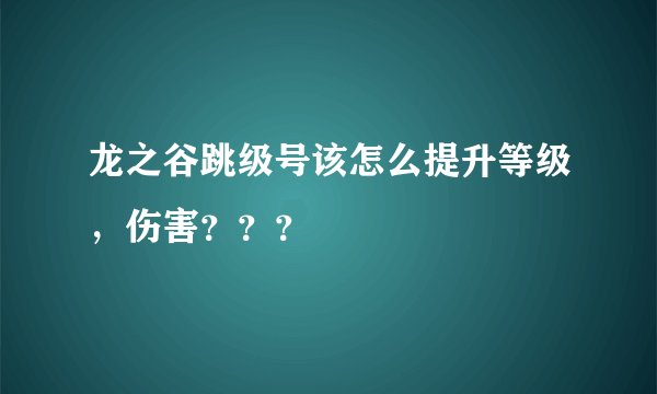 龙之谷跳级号该怎么提升等级,伤害???