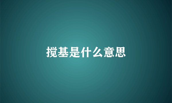 搅基是什么意思