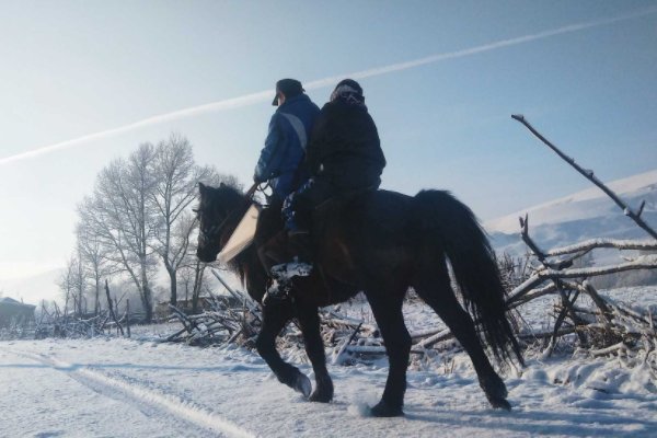 辽宁下暴雪，爸爸带9岁儿子骑马去吃饭，骑马上路是种什么样的体验？