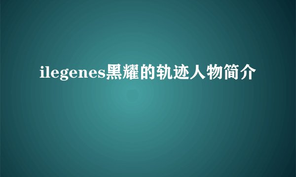 ilegenes黑耀的轨迹人物简介