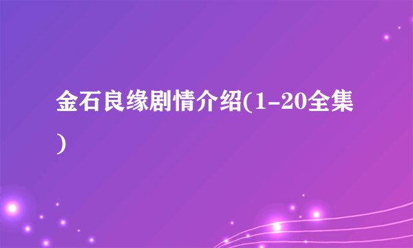 金石良缘剧情介绍(1-20全集)