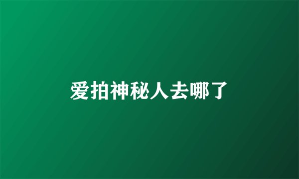 爱拍神秘人去哪了