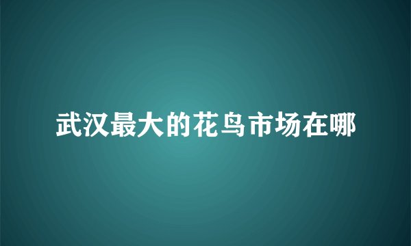 武汉最大的花鸟市场在哪