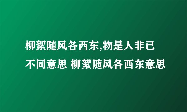 柳絮随风各西东,物是人非已不同意思 柳絮随风各西东意思