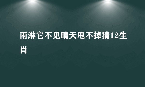 雨淋它不见晴天甩不掉猜12生肖