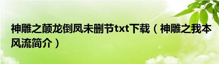神雕之颠龙倒凤未删节txt下载神雕之我本风流简介
