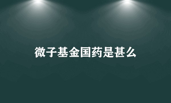 微子基金国药是甚么