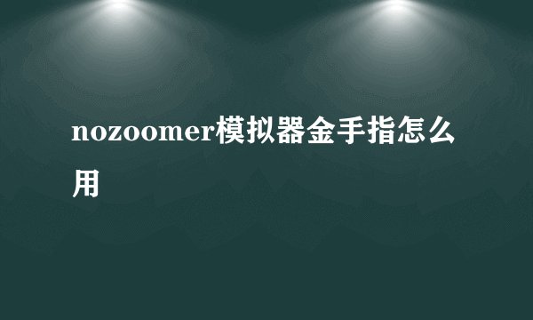 nozoomer模拟器金手指怎么用