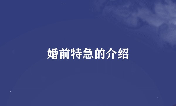 婚前特急的介绍