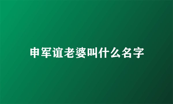 申军谊老婆叫什么名字