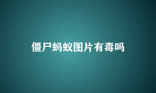僵尸蚂蚁图片有毒吗