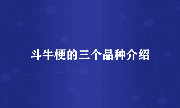 斗牛梗的三个品种介绍