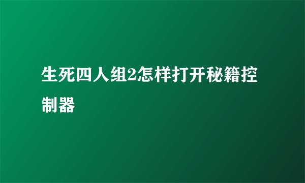 生死四人组2怎样打开秘籍控制器