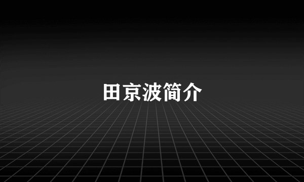 田京波简介