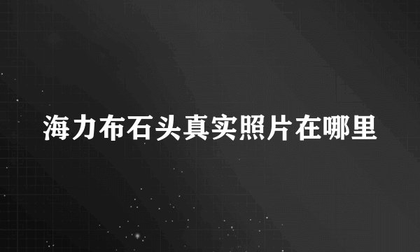 海力布石头真实照片在哪里