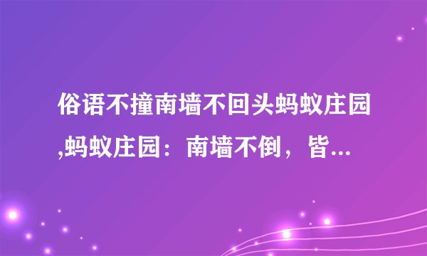 俗语不撞南墙不回头蚂蚁庄园,蚂蚁庄园：南墙不倒，皆因撞击不停！