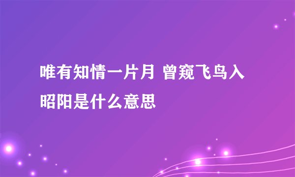 唯有知情一片月 曾窥飞鸟入昭阳是什么意思