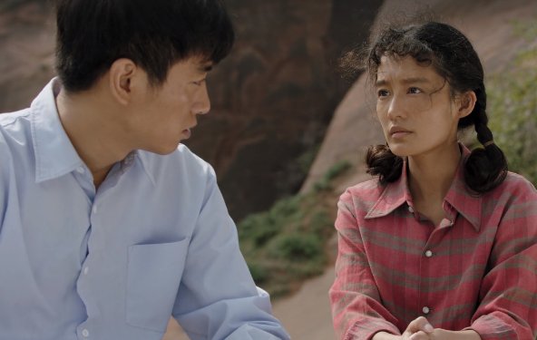 人生结尾为什么巧珍要找家林