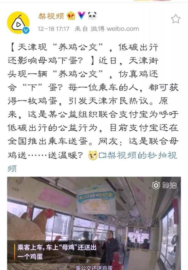 天津惊现“养鸡公交”，坐公交领个蛋吧