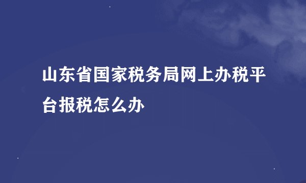 山东省国家税务局网上办税平台报税怎么办