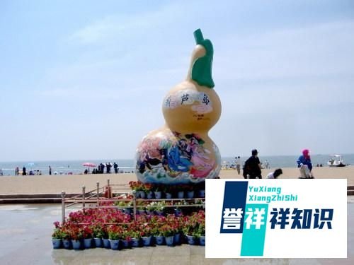 为什么东北人爱打架