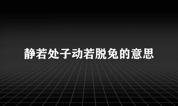 静若处子动若脱兔的意思