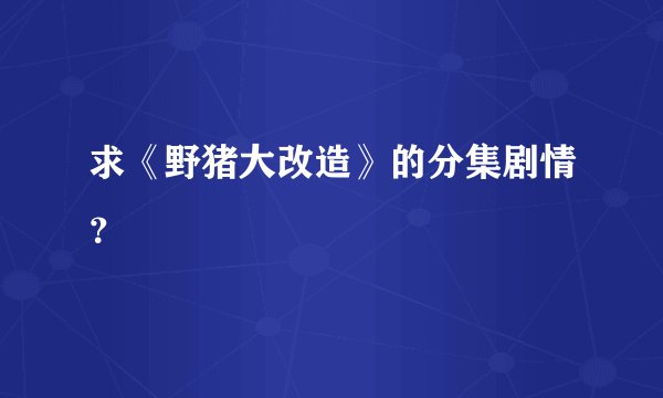 求《野猪大改造》的分集剧情？