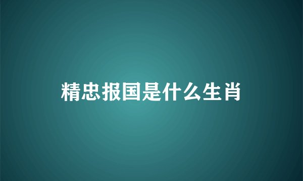 精忠报国是什么生肖