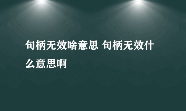 句柄无效啥意思 句柄无效什么意思啊