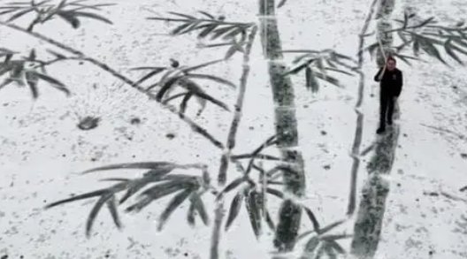在雪地上画什么好看