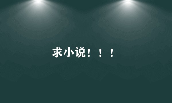 求小说！！！