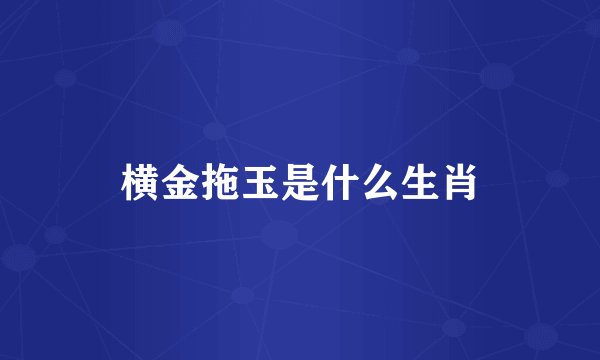 横金拖玉是什么生肖