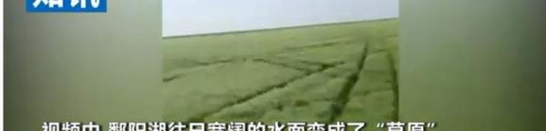鄱阳湖河床变草原 当地人开车飞驰实图草长二三十厘米
