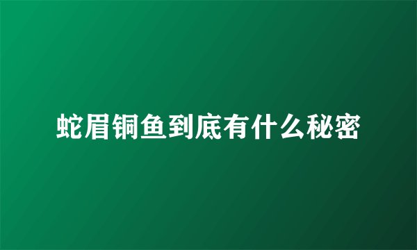 蛇眉铜鱼到底有什么秘密