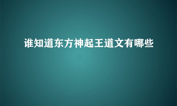 谁知道东方神起王道文有哪些