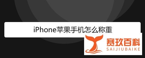 iPhone苹果手机怎么称重