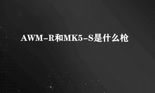 AWM-R和MK5-S是什么枪