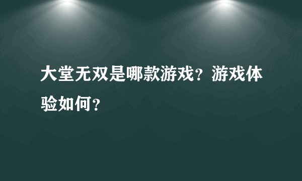 大堂无双是哪款游戏？游戏体验如何？