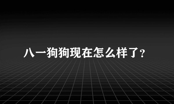 八一狗狗现在怎么样了?