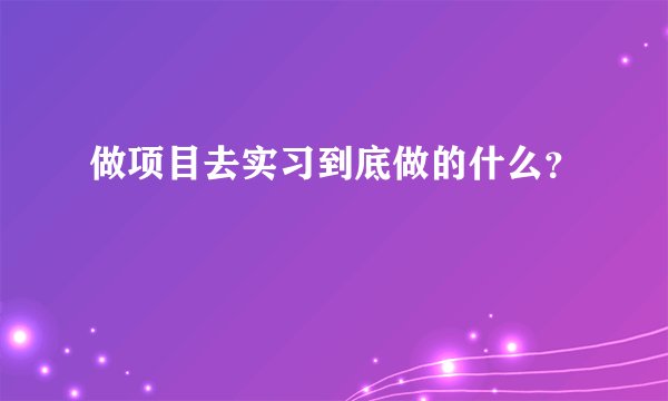 做项目去实习到底做的什么？