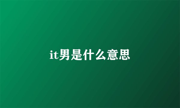 it男是什么意思